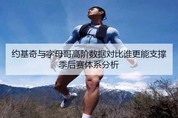 约基奇与字母哥高阶数据对比谁更能支撑季后赛体系分析